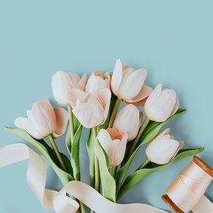 Meet your Posher, Cherie fae